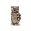 Owl Spotted 10" H