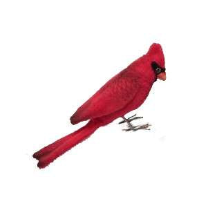 Cardinal, Red 3.5"L