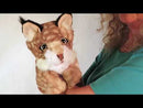 Bobcat Kitten, AKA Lynx Cat, AKA Bobcat  or Wild Cat Hand Puppet