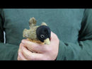 Mini Robin Finger Puppet from Folkmanis