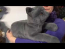 Cat Purring Hand Puppet