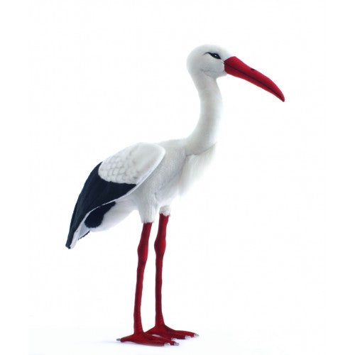 Stork, Life Size, Adult