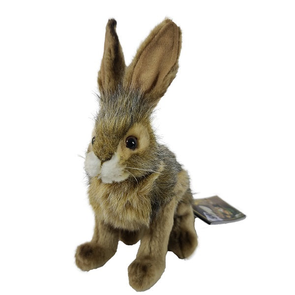 Hansa 14 Plush Male Bunny