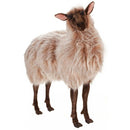 Sheep, Gentle Ewe, Ride On