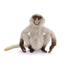 Spider Monkey 12" H