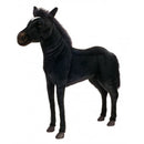 Horse, Black Beauty, Ride On
