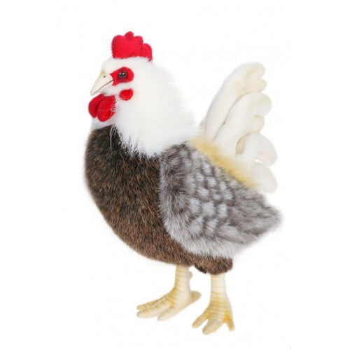 Bantam Rooster 11