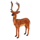 Deer, White Tail Buck, Ride On