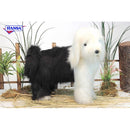 Dog, Sheep Dog, Standing