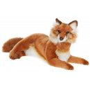 Fox, Red, Laying