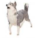 Dog, Husky, Grey, Life Size