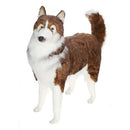 Dog, Husky, Life Size