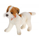 Dog, Jack Russel Terrier Puppy