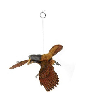 Archaeopteryx  Flying Dinosaur 14" H