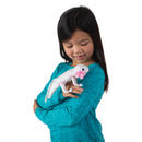Axolotl, White