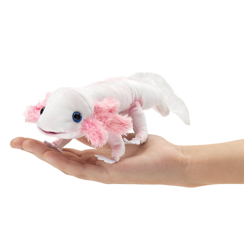 Axolotl, White