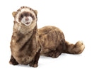 Ferret Hand Puppet