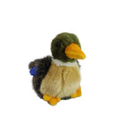 Duck Mallard Baby 4" H
