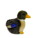 Duck Mallard Baby 4" H