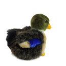 Duck Mallard Baby 4" H