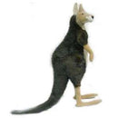 Kangaroo, Male 36" H