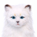 Cat White Laying 12.6" L,   Blue Eyes!  New for 2026!  Just Arrived in Stock!