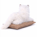 Cat White Laying 12.6" L,   Blue Eyes!  New for 2026!  Just Arrived in Stock!