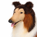 Collie Sitting 33.5" H, Life Size