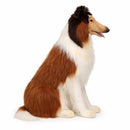 Collie Sitting 33.5" H, Life Size