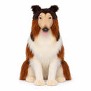 Collie Sitting 33.5" H, Life Size