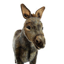 DONKEY, LIFE SIZE (RIDE-ON) 44''L