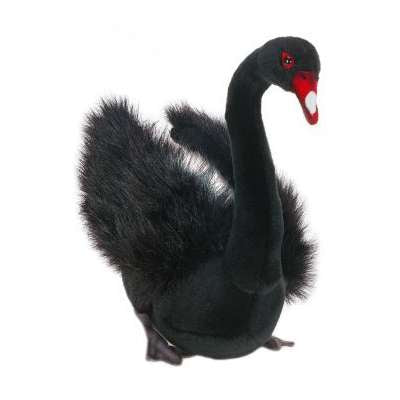 Black Swan 11" H