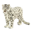 SNOW LEOPARD STANDNG 49' 'L X 37" H, Endangered Animal