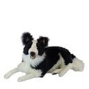 Border Collie Dog Laying 34" L Life Size