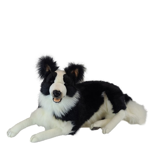 Border Collie Dog Laying 34" L Life Size