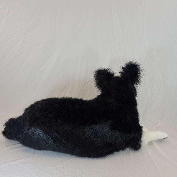 Border Collie Dog Laying 34" L Life Size