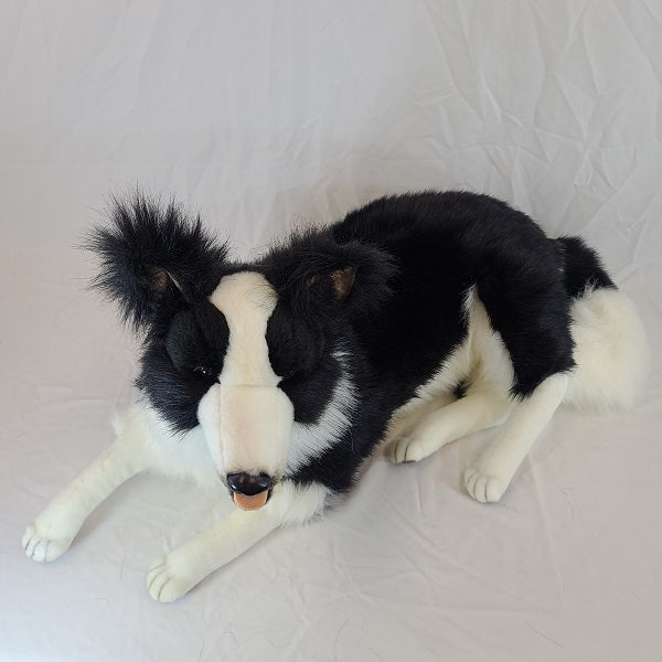 Border Collie Dog Laying 34" L Life Size