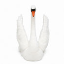 Swan, White, AKA "Mute Swan", Life Size, 49" L, Limited Supply