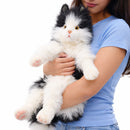 Cat, Cuddly Black and White, 17.7" H, New for 2026!  In Stock!
