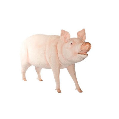 Pig Life Size 64" L