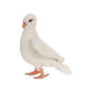 Dove White 8" L
