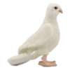 Dove White 8" L