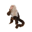 Capuchin Monkey 8" H