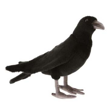 Black Crow 12", Life Size