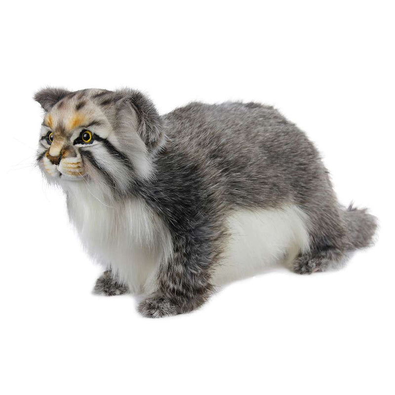 PALLAS CAT STANDING, AKA "Grumpy Cat"  17.3"L, Endangered