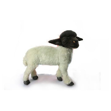 Sheep Black/White Standing 14" L
