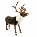 Nordic Deer 15.75" H