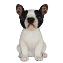 French Bulldog Tea Cup 6" H