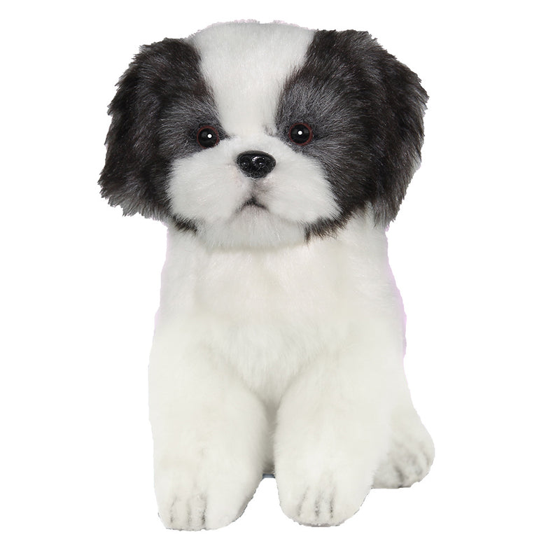 The Best Toys for Shih Tzu Puppies and Dogs