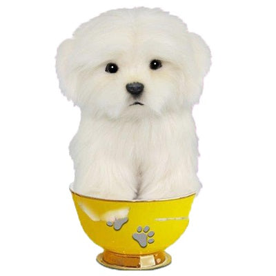 Maltese Tea Cup Pup 6" H